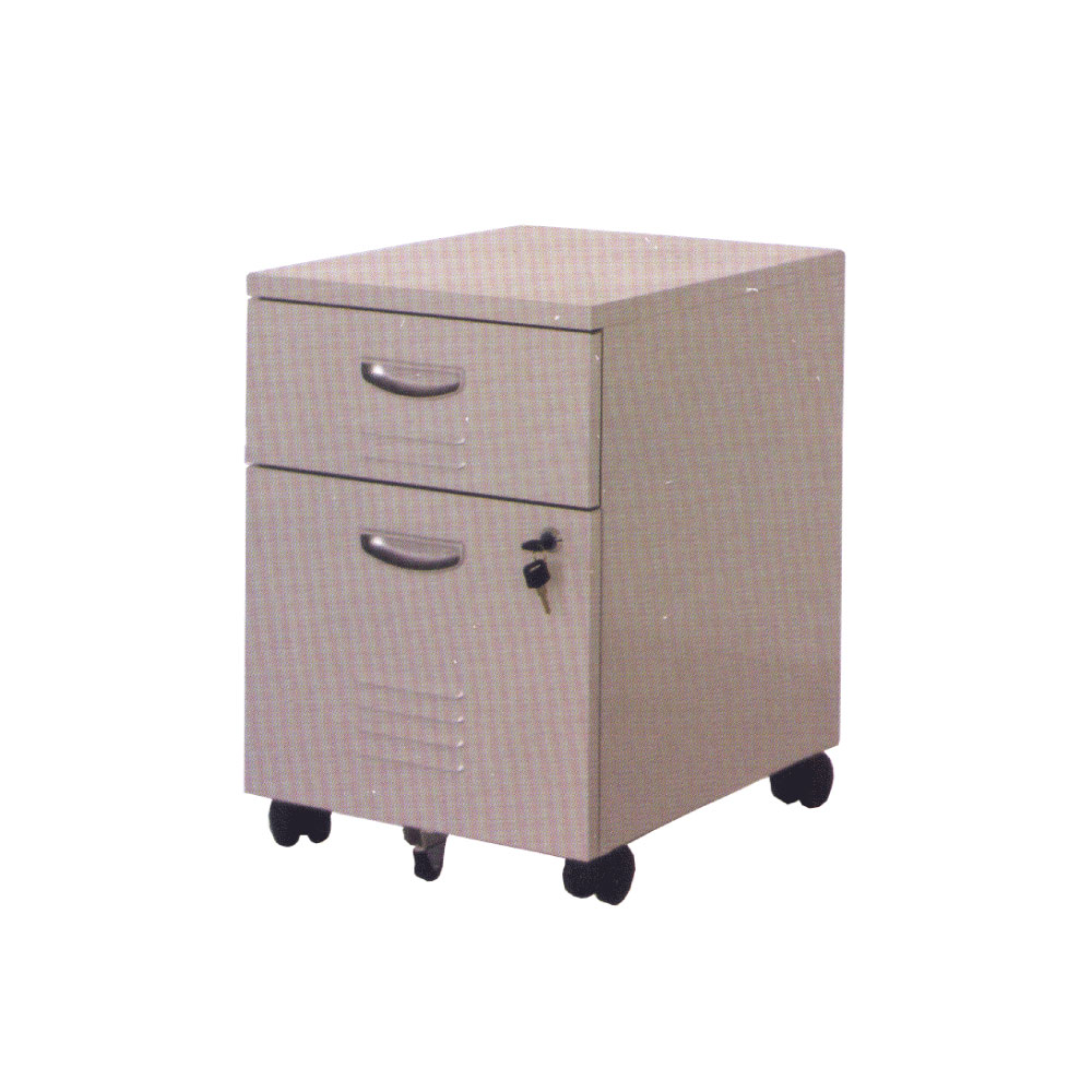 FCS-13